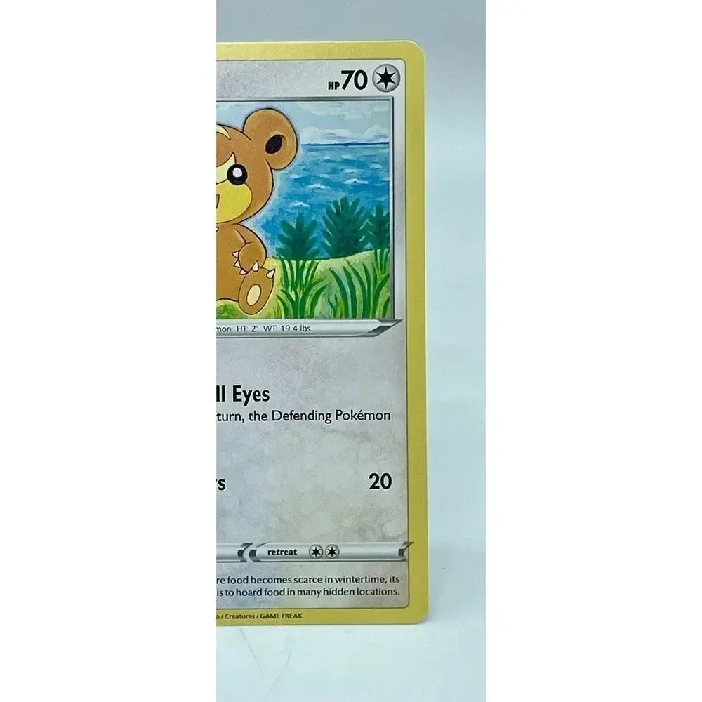 Teddiursa 138/189 Common Darkness Ablaze‎ Non-Holo Pokemon TCG Mint Unplayed